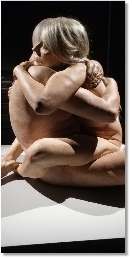 sembra-vivo-picture-2